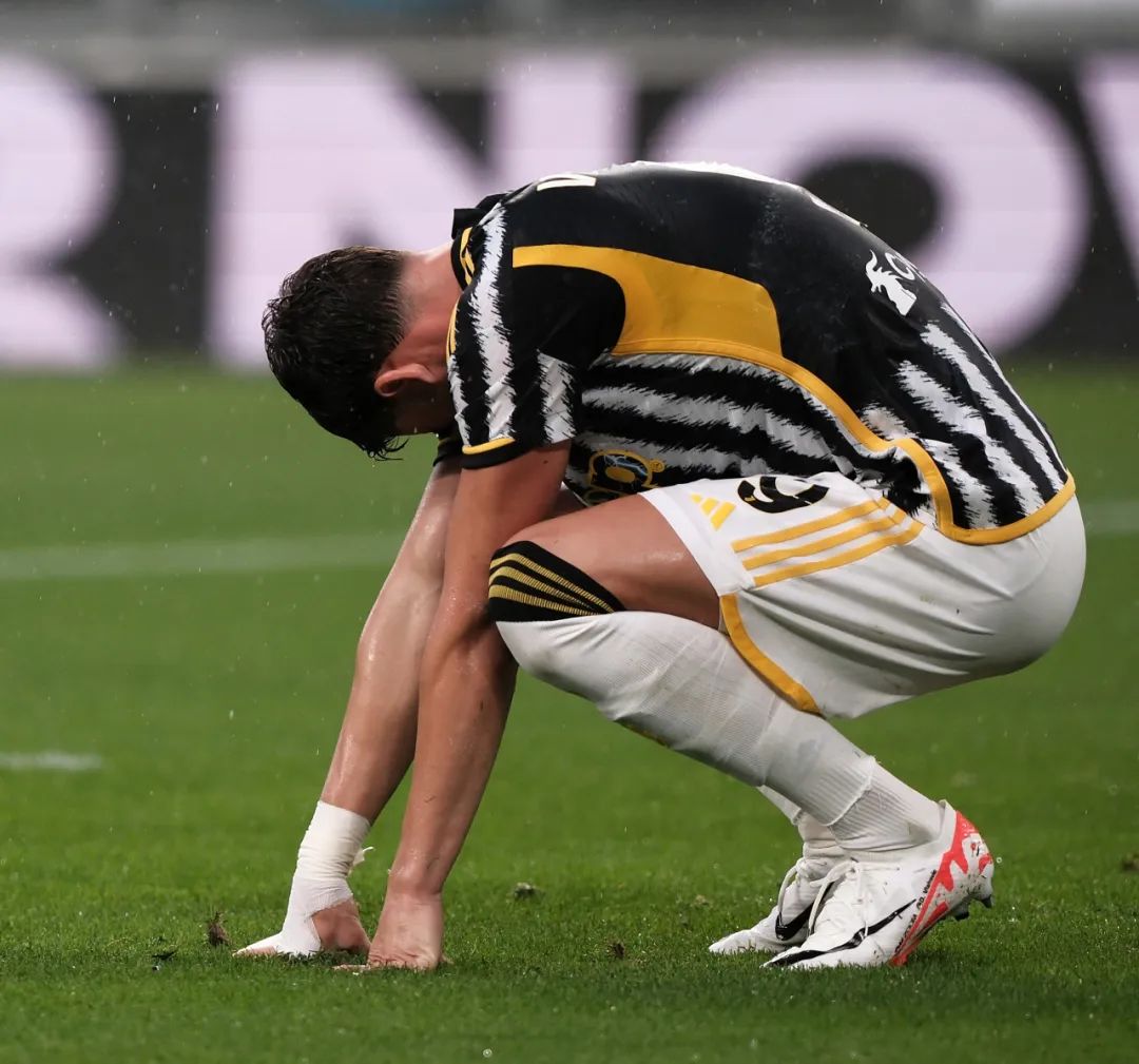 蒙德高调加 蒙德高调加