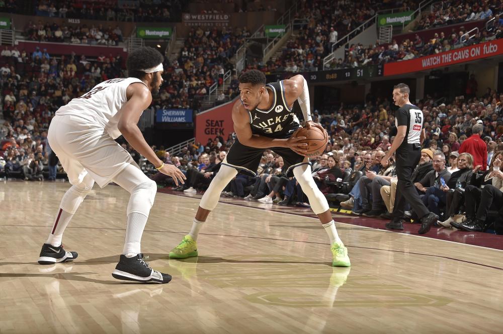 花卉底纹 花卉底纹